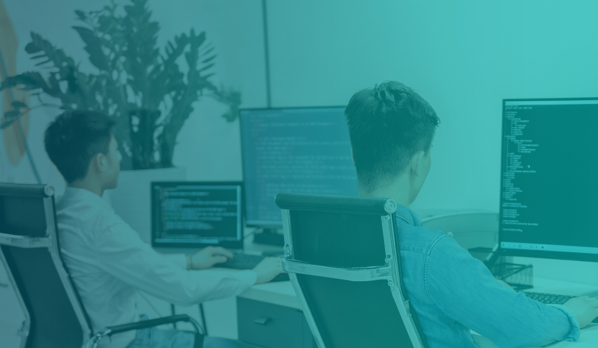 IT-Sicherheit amexus