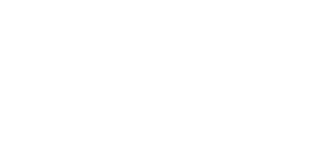 dvelop-Partner-Platinum-weiss