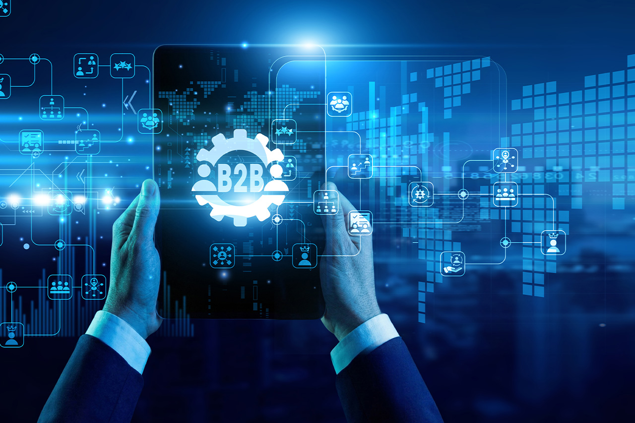 B2B Self Service Portal B2B Self Service Portal